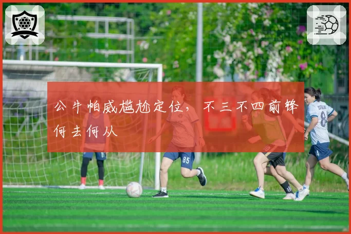 公牛帕威尴尬定位，不三不四前锋何去何从