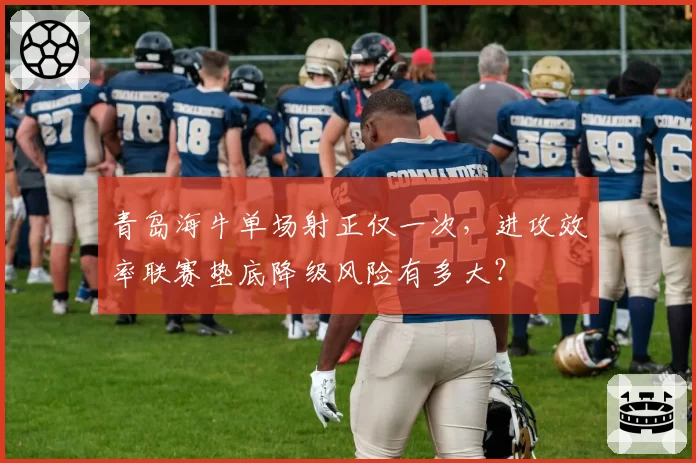 青岛海牛单场射正仅一次，进攻效率联赛垫底降级风险有多大？